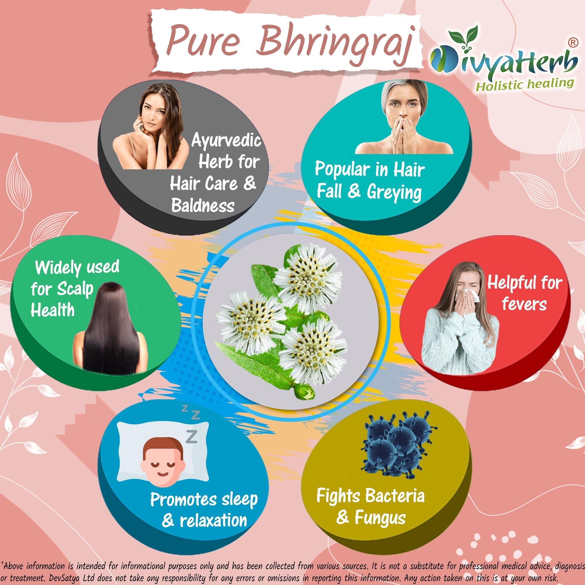 Pure Bhringraj Powder