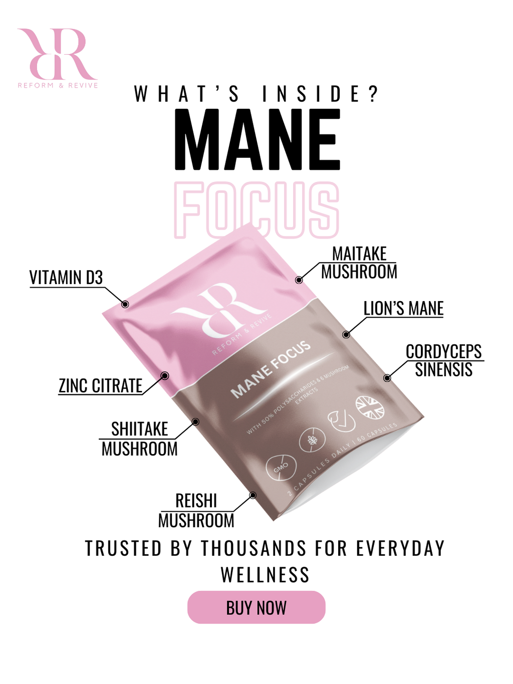 Mane Focus Lions Mane