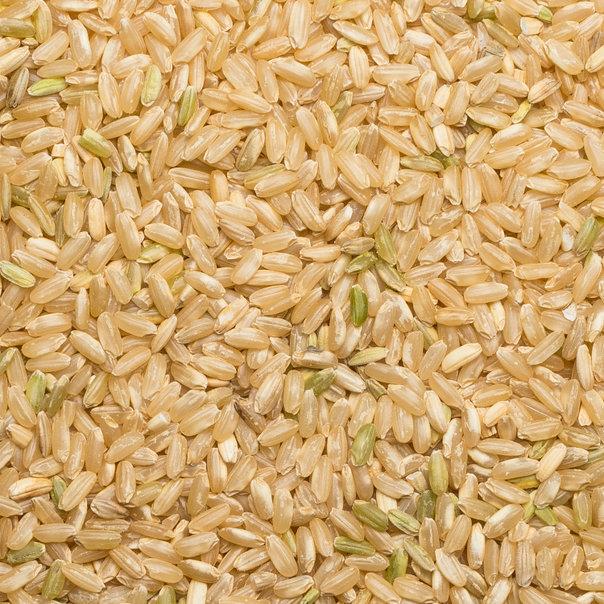 Organic Long Grain Brown Rice